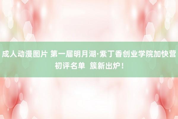 成人动漫图片 第一届明月湖·紫丁香创业学院加快营初评名单  簇新出炉！