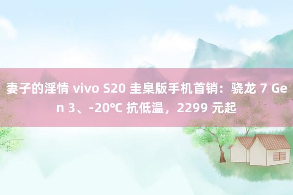 妻子的淫情 vivo S20 圭臬版手机首销：骁龙 7 Gen 3、-20℃ 抗低温，2299 元起