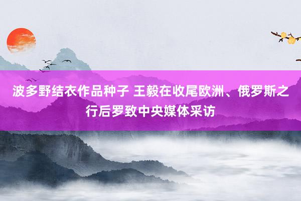 波多野结衣作品种子 王毅在收尾欧洲、俄罗斯之行后罗致中央媒体采访