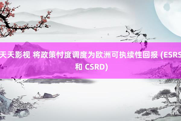 天天影视 将政策忖度调度为欧洲可执续性回报 (ESRS 和 CSRD)