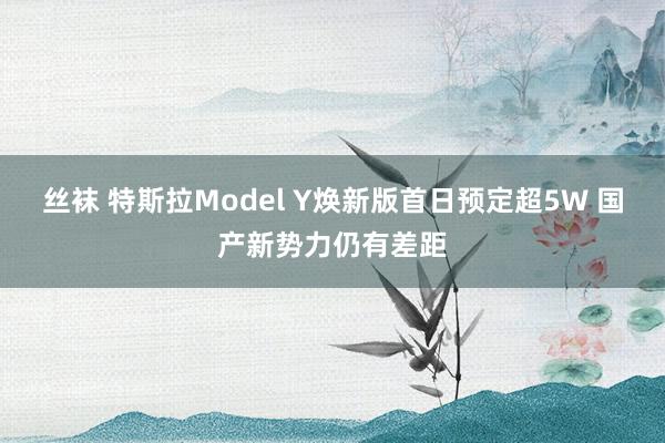 丝袜 特斯拉Model Y焕新版首日预定超5W 国产新势力仍有差距