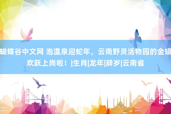 蝴蝶谷中文网 泡温泉迎蛇年，云南野灵活物园的金蟒欢跃上岗啦！|生肖|龙年|辞岁|云南省