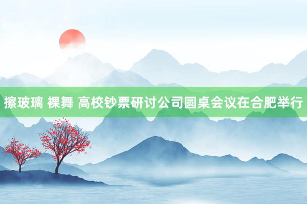 擦玻璃 裸舞 高校钞票研讨公司圆桌会议在合肥举行
