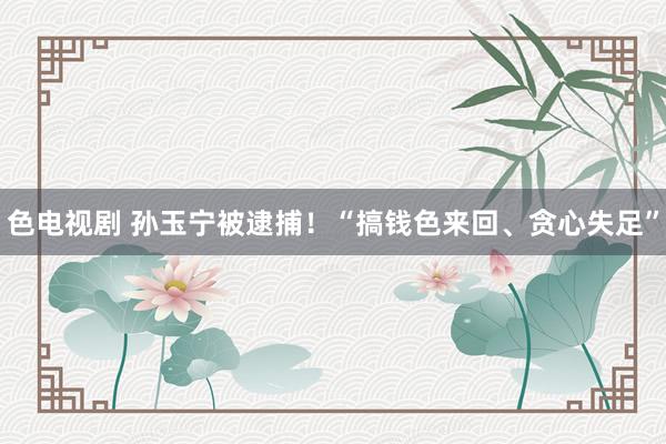 色电视剧 孙玉宁被逮捕！“搞钱色来回、贪心失足”