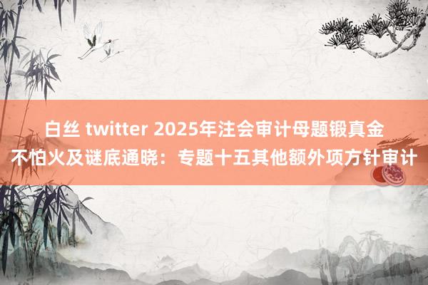白丝 twitter 2025年注会审计母题锻真金不怕火及谜底通晓：专题十五其他额外项方针审计