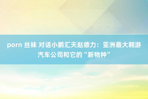 porn 丝袜 对话小鹏汇天赵德力：亚洲最大翱游汽车公司和它的“新物种”
