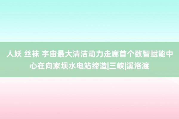 人妖 丝袜 宇宙最大清洁动力走廊首个数智赋能中心在向家坝水电站缔造|三峡|溪洛渡