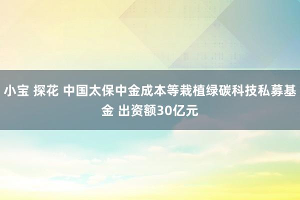 小宝 探花 中国太保中金成本等栽植绿碳科技私募基金 出资额30亿元