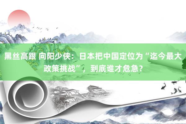 黑丝高跟 向阳少侠：日本把中国定位为“迄今最大政策挑战”，到底谁才危急？