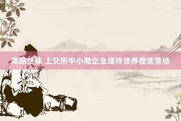 高跟丝袜 上交所中小微企业维持债券捏续落地