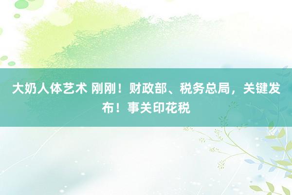 大奶人体艺术 刚刚！财政部、税务总局，关键发布！事关印花税