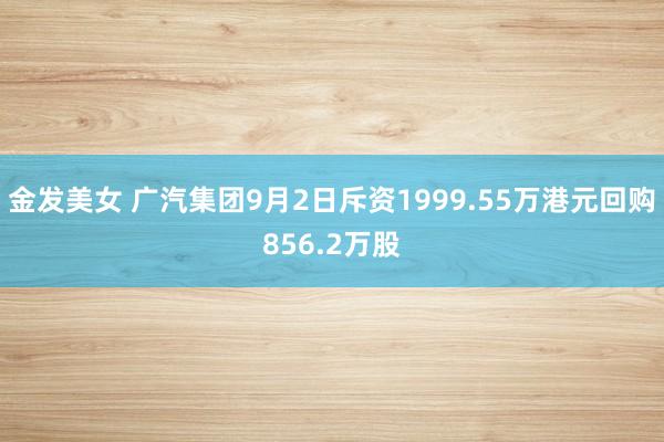 金发美女 广汽集团9月2日斥资1999.55万港元回购856.2万股