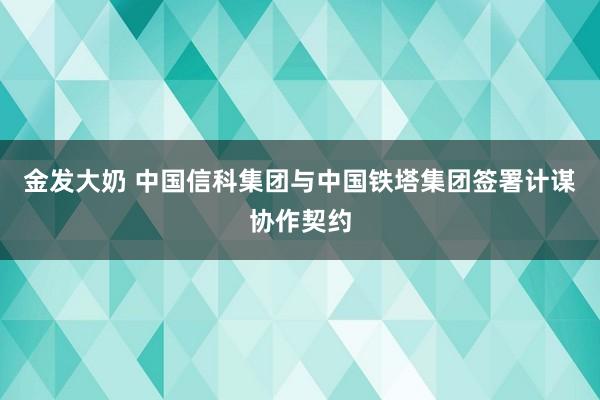 金发大奶 中国信科集团与中国铁塔集团签署计谋协作契约