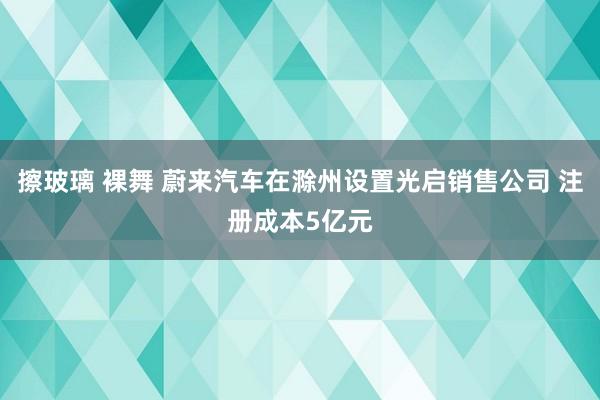 擦玻璃 裸舞 蔚来汽车在滁州设置光启销售公司 注册成本5亿元