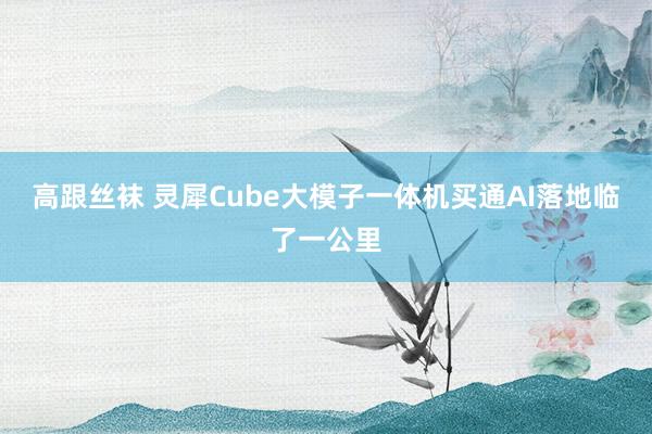 高跟丝袜 灵犀Cube大模子一体机买通AI落地临了一公里