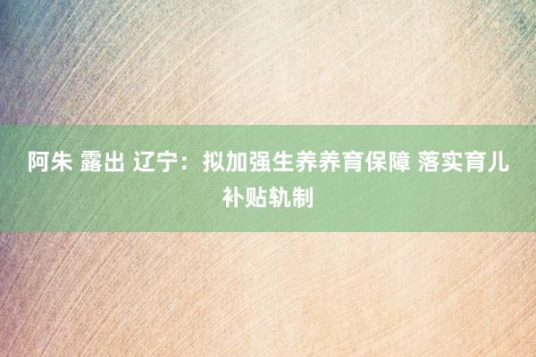 阿朱 露出 辽宁：拟加强生养养育保障 落实育儿补贴轨制