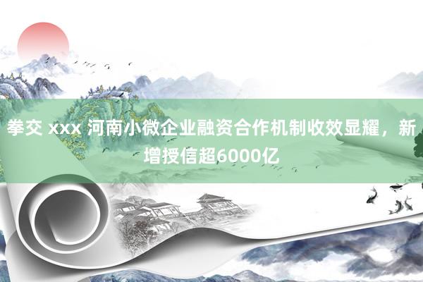 拳交 xxx 河南小微企业融资合作机制收效显耀，新增授信超6000亿